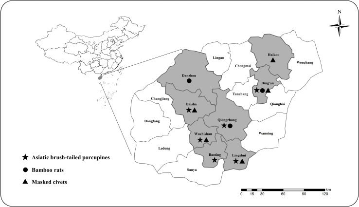 Prevalence and distribution of subtypes of Blastocystis in Asiatic brush-tailed porcupines (Atherurus macrourus), bamboo rats (Rhizomys pruinosus), and masked palm civets (Paguma larvata) farmed in Hainan, China.