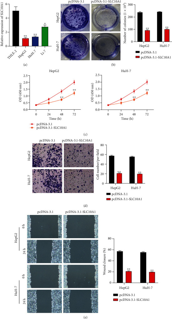 LINC00659 Inhibits Hepatocellular Carcinoma Malignant Progression by Blocking Aerobic Glycolysis through FUS Recruitment and SLC10A1 Modulation.