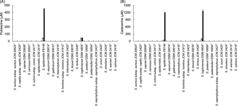 Isolation of the high polyamine-producing bacterium <i>Staphylococcus epidermidis</i> FB146 from fermented foods and identification of polyamine-related genes.