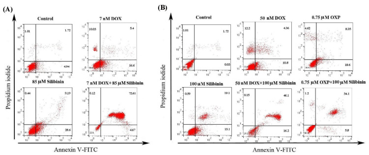 Silibinin induces immunogenic cell death in cancer cells and enhances the induced immunogenicity by chemotherapy.