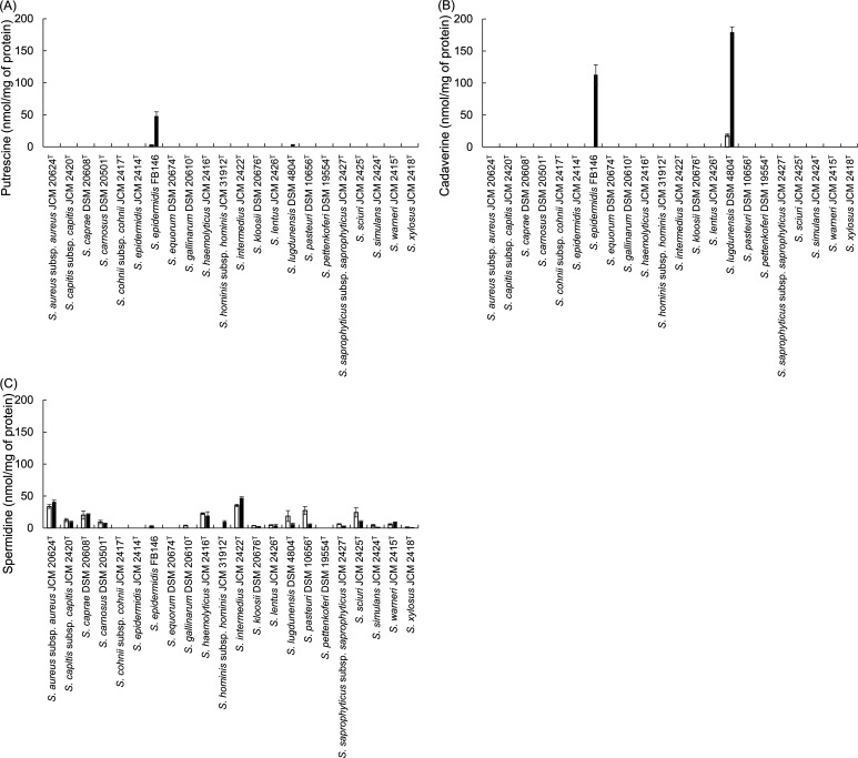 Isolation of the high polyamine-producing bacterium <i>Staphylococcus epidermidis</i> FB146 from fermented foods and identification of polyamine-related genes.