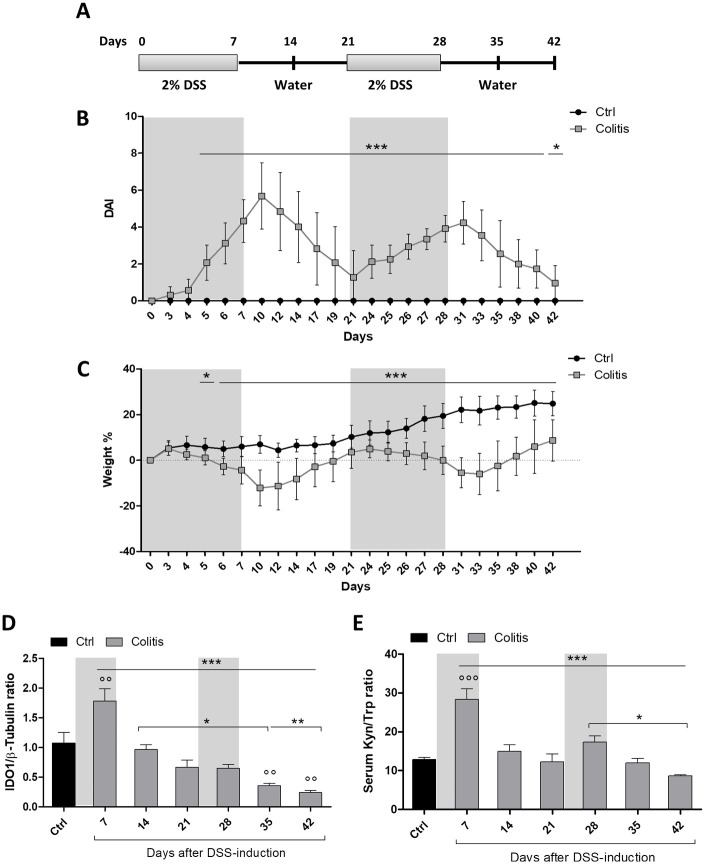 Modulation of Indoleamine 2,3-Dioxygenase 1 During Inflammatory Bowel Disease Activity in Humans and Mice.