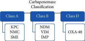 Updates on the Status of Carbapenem-Resistant Enterobacterales in Lebanon.