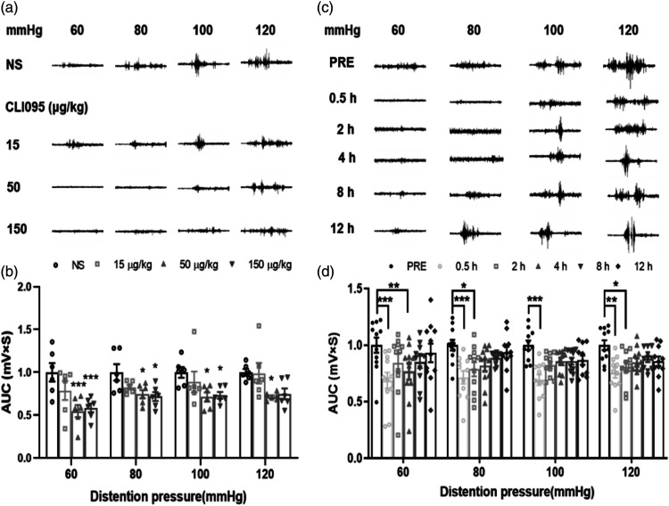 microRNA-181a contributes to gastric hypersensitivity in rats with diabetes by regulating TLR4 expression.