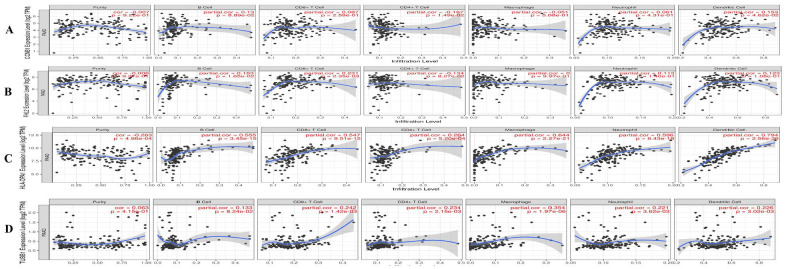 Identification and Interaction Analysis of Molecular Markers in Pancreatic Ductal Adenocarcinoma by Bioinformatics and Next-Generation Sequencing Data Analysis.