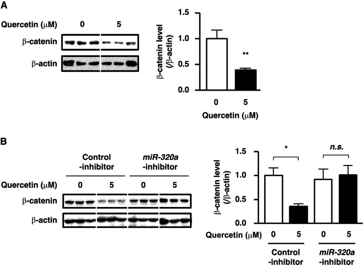 Quercetin up-regulates the expression of tumor-suppressive microRNAs in human cervical cancer.