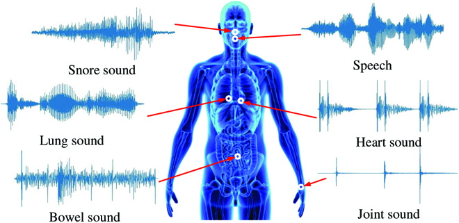 The Voice of the Body: Why AI Should Listen to It and an Archive.