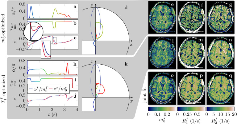 Unconstrained quantitative magnetization transfer imaging: disentangling <i>T</i><sub>1</sub> of the free and semi-solid spin pools.