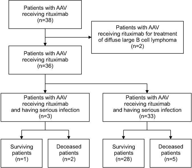 Implication of Serious Infections in Patients With Antineutrophil Cytoplasmic Antibody-Associated Vasculitis for the First Cycle of Rituximab: A Pilot Study in a Single Korean Center.