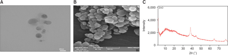 Evaluation of the cell viability and antimicrobial effects of orthodontic bands coated with silver or zinc oxide nanoparticles: An <i>in vitro</i> study.