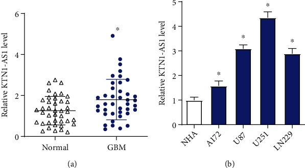 Long Non-coding RNA KTN1-AS1 Targets miR-505 to Promote Glioblastoma Progression.