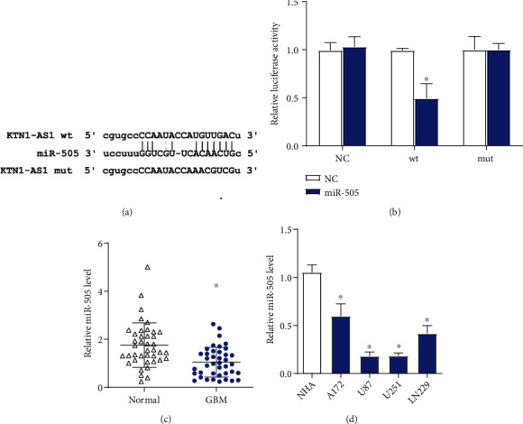 Long Non-coding RNA KTN1-AS1 Targets miR-505 to Promote Glioblastoma Progression.