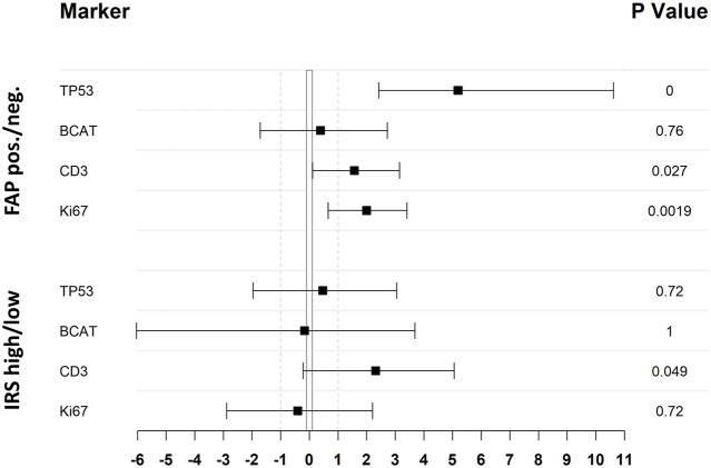 Fibroblast activation protein-α expression in fibroblasts is common in the tumor microenvironment of colorectal cancer and may serve as a therapeutic target.