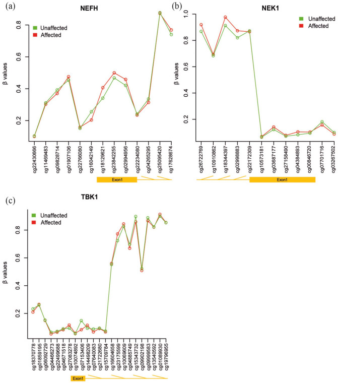 DNA Methylation Analysis in Monozygotic Twins Discordant for ALS in Blood Cells.