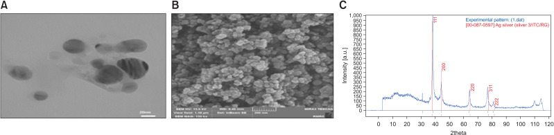 Evaluation of the cell viability and antimicrobial effects of orthodontic bands coated with silver or zinc oxide nanoparticles: An <i>in vitro</i> study.