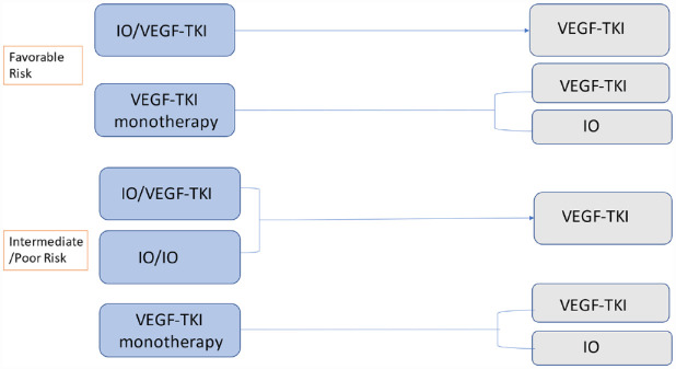 Multidisciplinary treatment (MDT) perspectives in renal cell carcinoma.