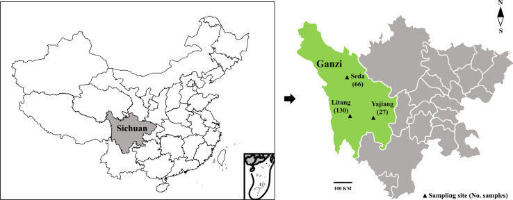 High genotype diversity and zoonotic potential of Enterocytozoon bieneusi in yaks (Bos grunniens) from Ganzi Tibetan Autonomous Prefecture, Sichuan Province.