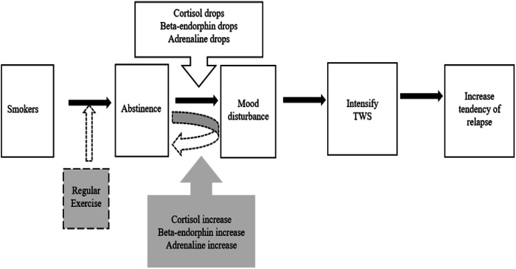 The Impacts of Supervised Exercise Intervention on Tobacco Withdrawal Symptoms.