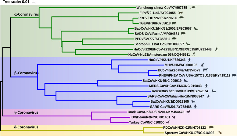 Antigen epitopes of animal coronaviruses: a mini-review.