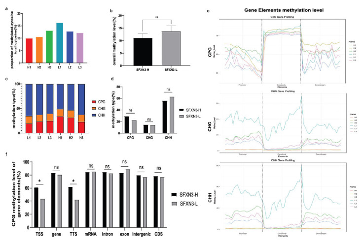 SFXN3 is Associated with Poor Clinical Outcomes and Sensitivity to the Hypomethylating Therapy in Non-M3 Acute Myeloid Leukemia Patients.