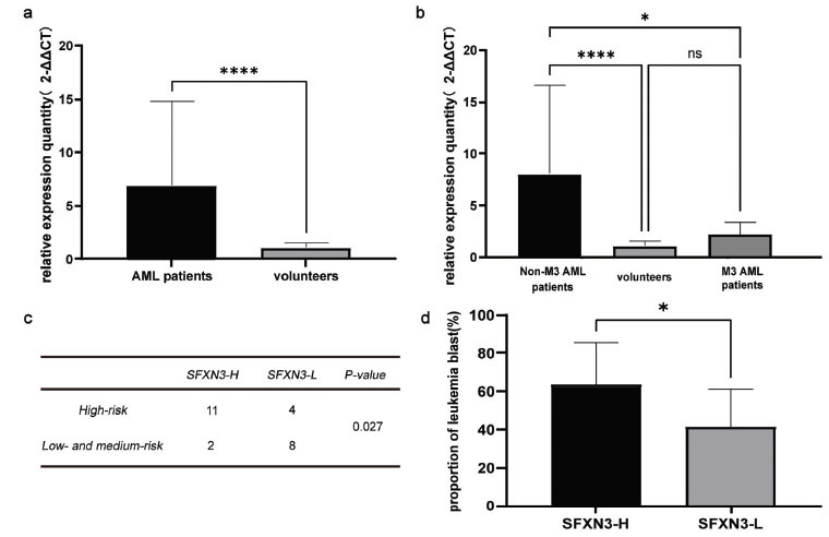 SFXN3 is Associated with Poor Clinical Outcomes and Sensitivity to the Hypomethylating Therapy in Non-M3 Acute Myeloid Leukemia Patients.