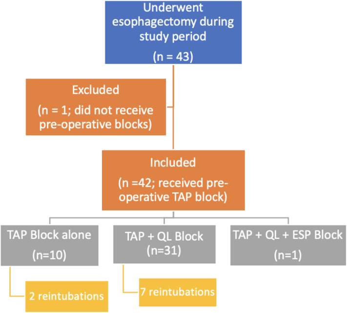 Regional Anesthetic Use in Trans-Hiatal Esophagectomy. Are They Worth Consideration? A Case Series.