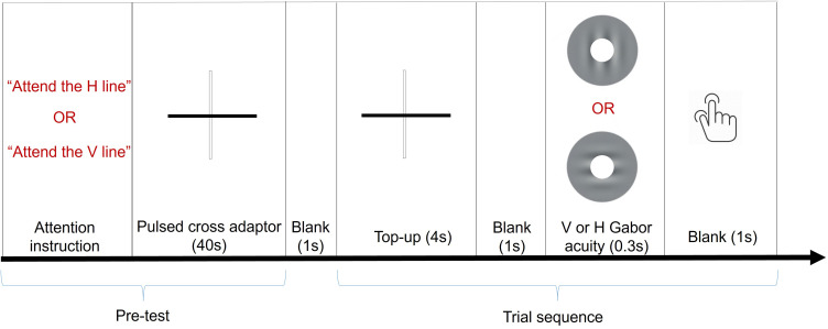 Meridional Attentional Asymmetries in Astigmatic Eyes.