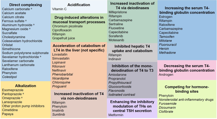 Medications and Food Interfering with the Bioavailability of Levothyroxine: A Systematic Review.