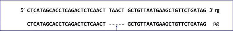 <i>PMS2</i> Pathogenic Variant in Lynch Syndrome-Associated Colorectal Cancer with Polyps.