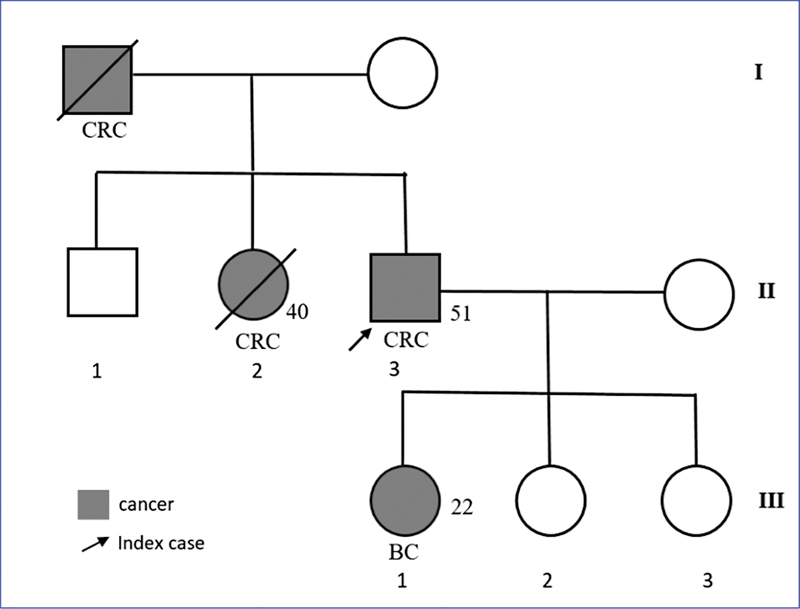 <i>PMS2</i> Pathogenic Variant in Lynch Syndrome-Associated Colorectal Cancer with Polyps.