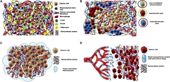 Challenges and Opportunities Associated With Drug Delivery for the Treatment of Solid Tumors.