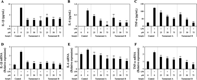 Turmeronols (A and B) from <i>Curcuma longa</i> have anti-inflammatory effects in lipopolysaccharide-stimulated BV-2 microglial cells by reducing NF-κB signaling.