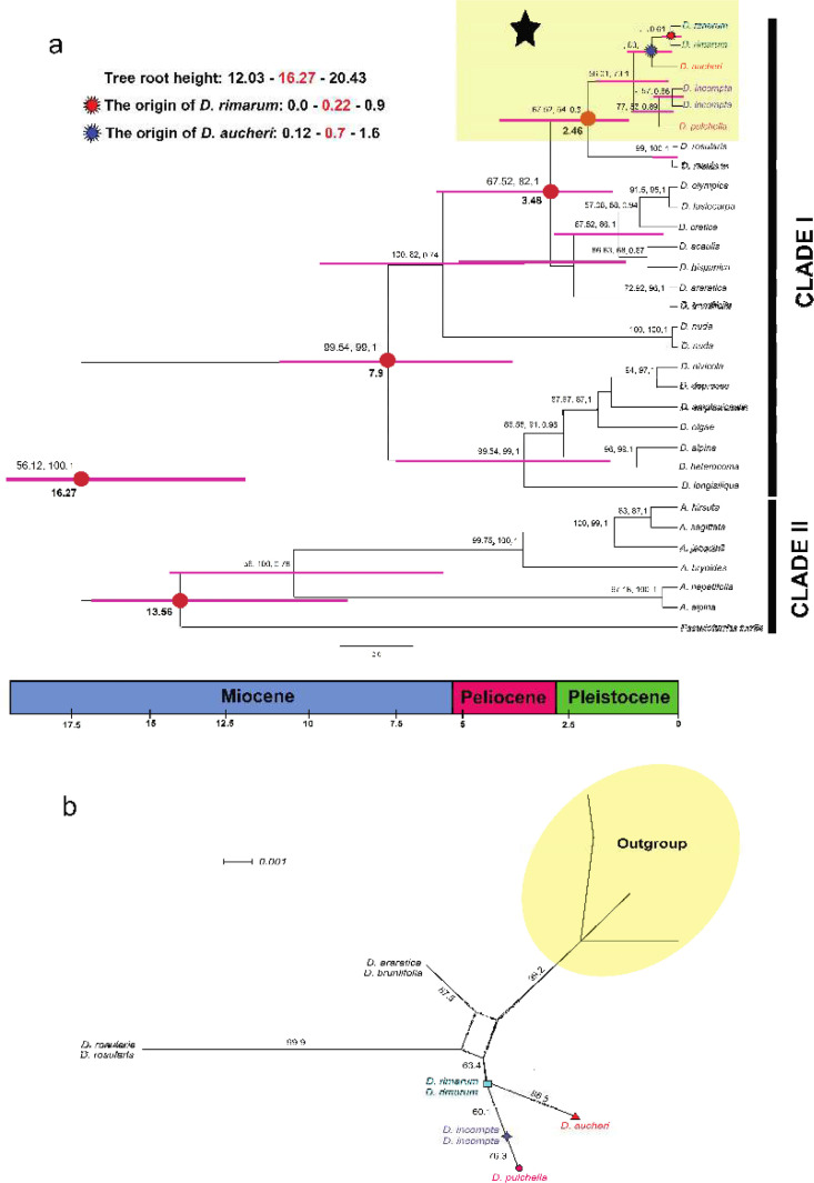 A comparison of phylogenetic and distance-based approaches for the distinction of genetically closed species, <i>Draba rimarum</i> (Rech.f.) A.R. Khosravi & A. Eslami-Farouji, and <i>Draba aucheri</i> Boiss. (Brassicaceae) as a case study.