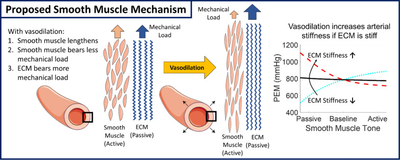 Simple Models of Complex Mechanics for Improved Hypertension Care: Learning to De-stiffen Arteries.