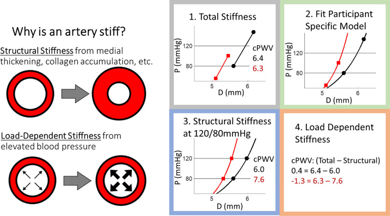 Simple Models of Complex Mechanics for Improved Hypertension Care: Learning to De-stiffen Arteries.