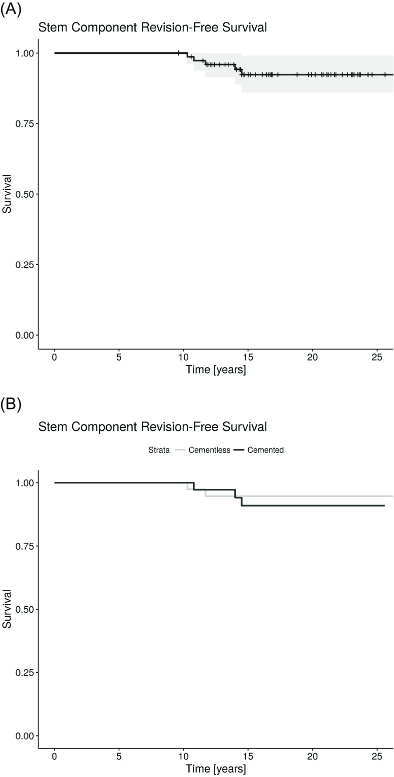 Long term results of total hip arthroplasty with cemented and cementless tapered femoral component.