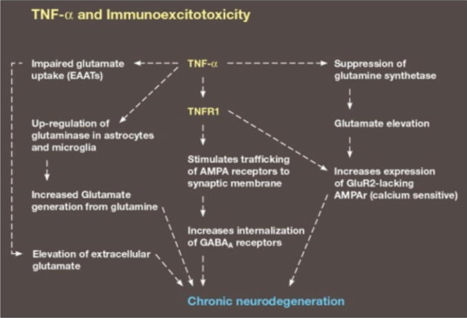 Why immunoexcitoxicity is the basis of most neurodegenerative diseases and systemic immune activation: An analysis.