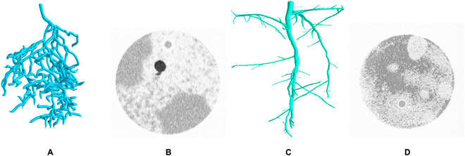 3D U-Net Segmentation Improves Root System Reconstruction from 3D MRI Images in Automated and Manual Virtual Reality Work Flows.