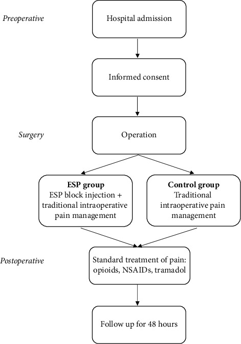 Erector Spinae Plane (ESP) Block for Postoperative Pain Management after Open Oncologic Abdominal Surgery.