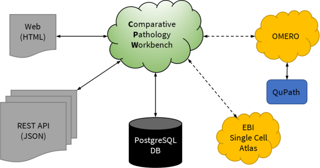 The Comparative Pathology Workbench: Interactive visual analytics for biomedical data