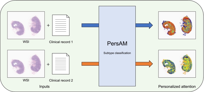 Transformer-based personalized attention mechanism for medical images with clinical records