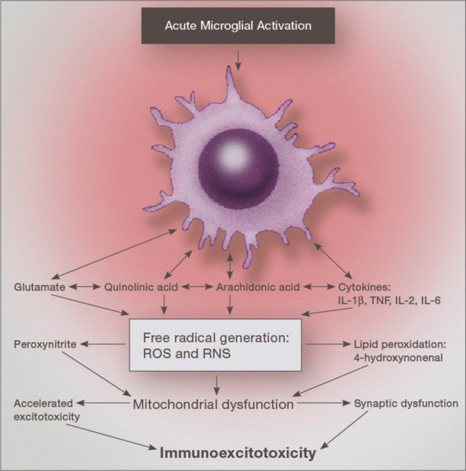 Why immunoexcitoxicity is the basis of most neurodegenerative diseases and systemic immune activation: An analysis.