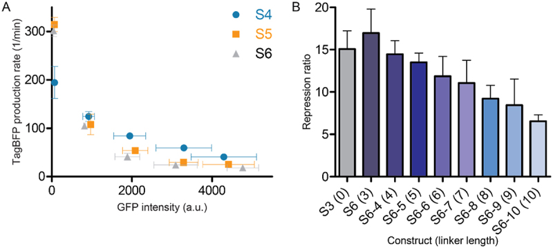 A translational repression reporter assay for the analysis of RNA-binding protein consensus sites.