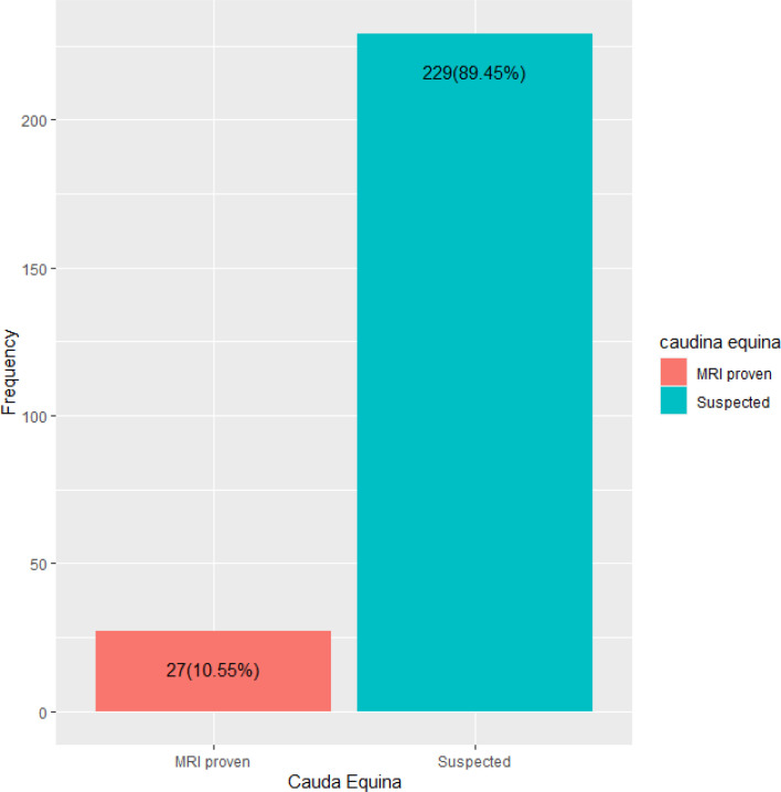 Characteristics and clinical features of cauda equina syndrome: insights from a study on 256 patients.