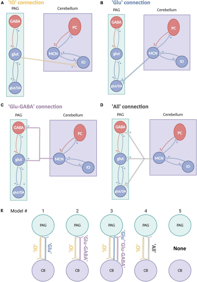 Dynamic causal modeling reveals increased cerebellar- periaqueductal gray communication during fear extinction.