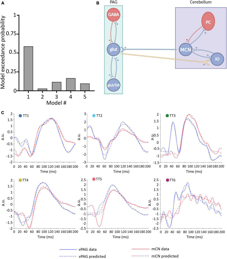 Dynamic causal modeling reveals increased cerebellar- periaqueductal gray communication during fear extinction.