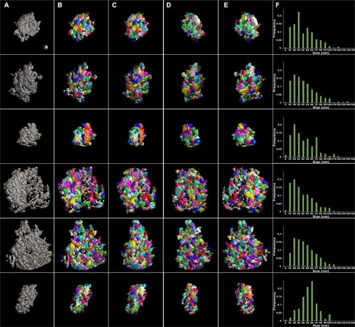 Cryo-EM tomography and automatic segmentation delineate modular structures in the postsynaptic density.