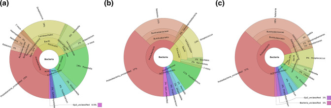 Lower respiratory tract microbiome composition and community interactions in smokers.