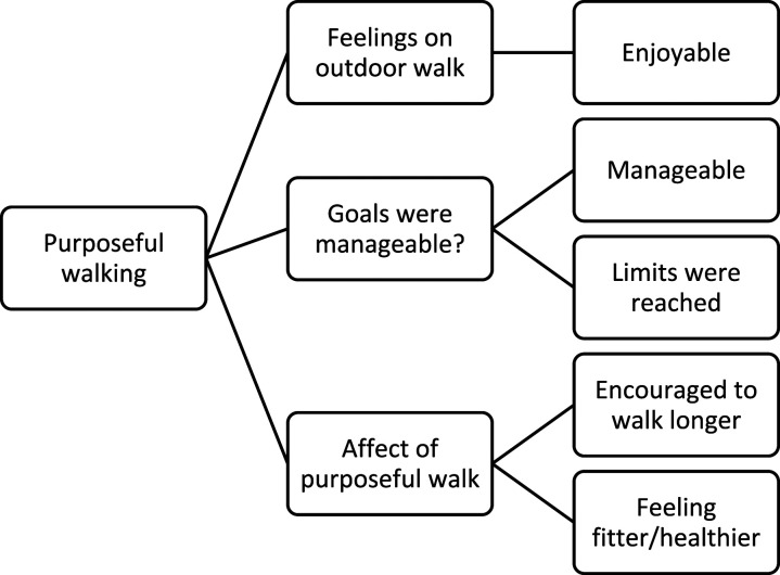 A feasibility study to evaluate a purposeful walk intervention with a distance goal using a commercially available activity monitor in elderly people post total hip replacement surgery.