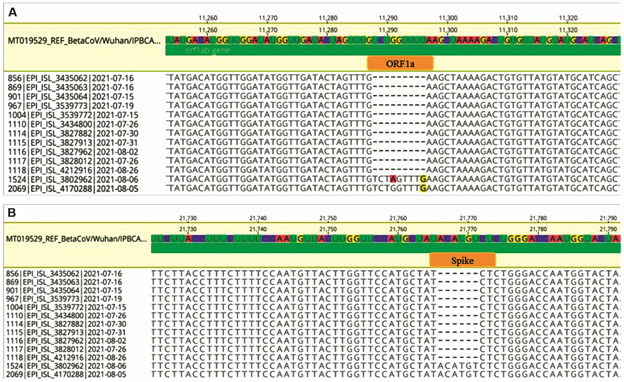 A straightforward one-step strategy for SARS-CoV-2 diagnosis and screening of variants of concern: a multicentre study.